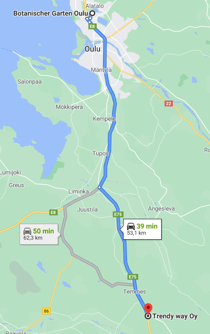 Trendy way Oy, Temmes